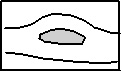 коренная колонна