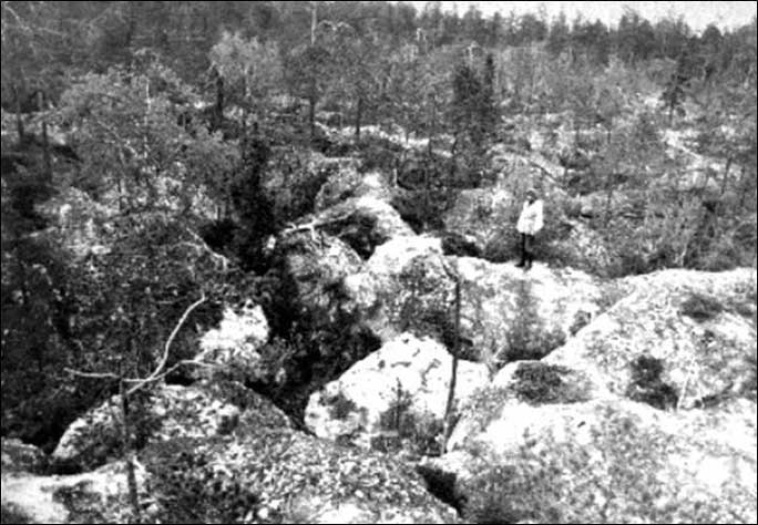 Шелопняковое поле, долина р. Чуги
