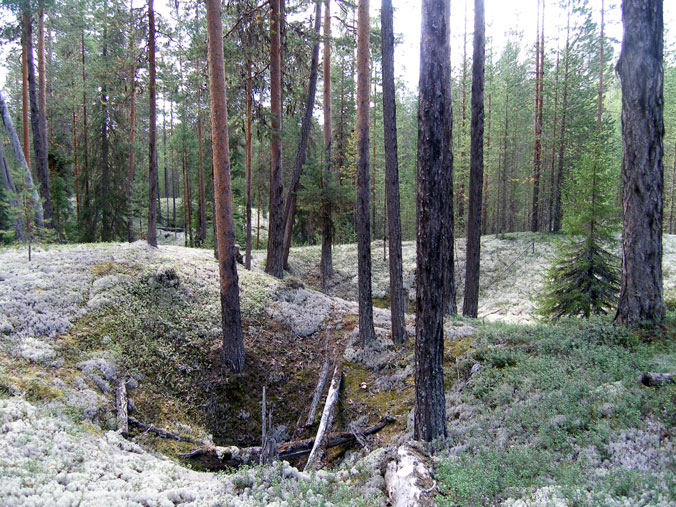 Поверхностный карст