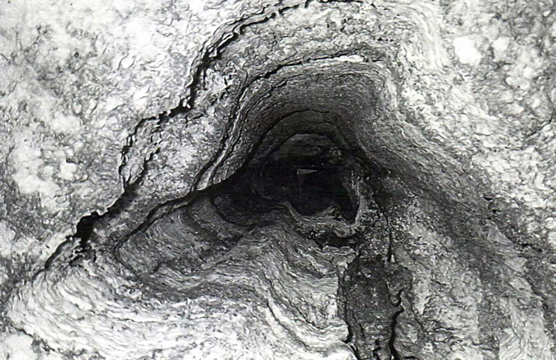 Органная труба