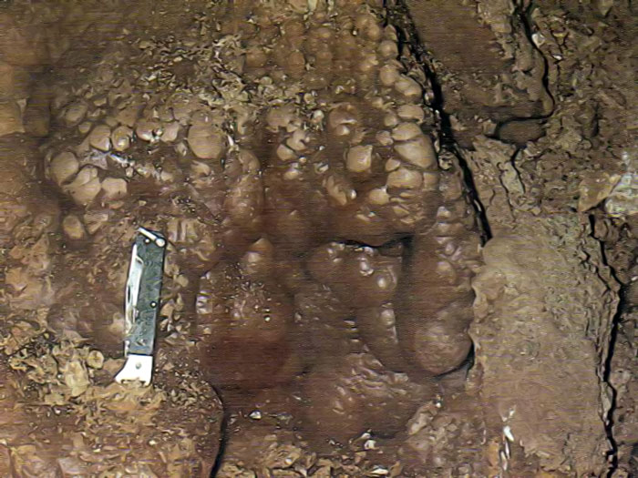 Почковидная карбонатная кора у зала Провал в пещере Конституционная