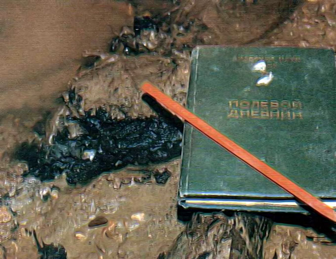 Колония сульфатредуцирующих бактерий