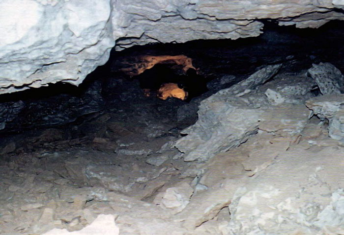 Участок обвльной галереи пещеры Троя (К-13)